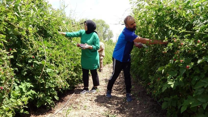 Hobi olarak başladı, şimdi talebe yetişemiyor! 10 ton üretiyor, kilosunu 80 liradan satıyor