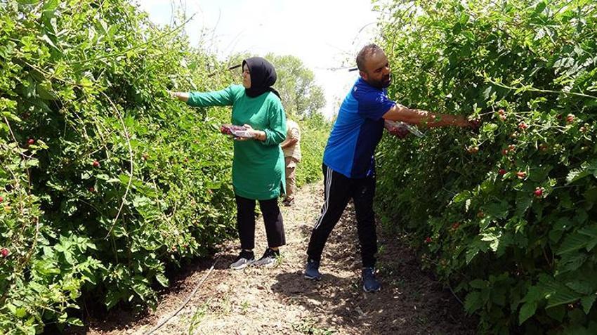Hobi olarak başladı, şimdi talebe yetişemiyor! 10 ton üretiyor, kilosunu 80 liradan satıyor