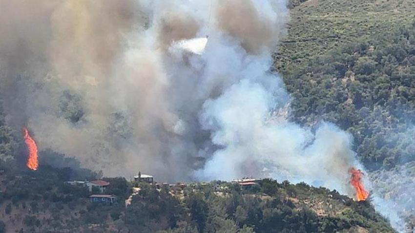 Hatay Belen Orman yangını söndü nü? Hatay yangını neden çıktı, ne durumda, Hatay orman yangını devam ediyor mu? Hatay yangın son durum