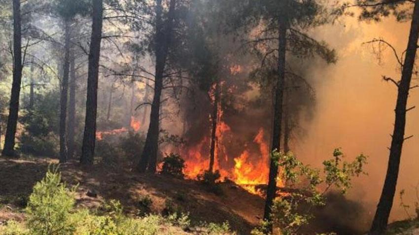 Hatay Belen Orman yangını söndü nü? Hatay yangını neden çıktı, ne durumda, Hatay orman yangını devam ediyor mu? Hatay yangın son durum