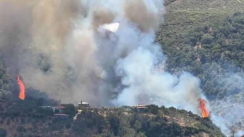 Hatay Belen Orman yangını söndü nü? Hatay yangını neden çıktı, ne durumda, Hatay orman yangını devam ediyor mu? Hatay yangın son durum
