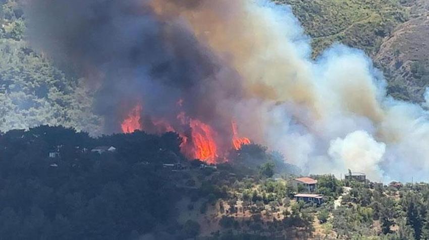 Hatay Belen Orman yangını söndü nü? Hatay yangını neden çıktı, ne durumda, Hatay orman yangını devam ediyor mu? Hatay yangın son durum