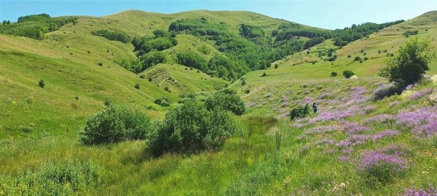 İki ilden petrol müjdesi geldi! Uzman isim 'Rus petrollerine eşdeğer’ dedi ve raporu açıkladı