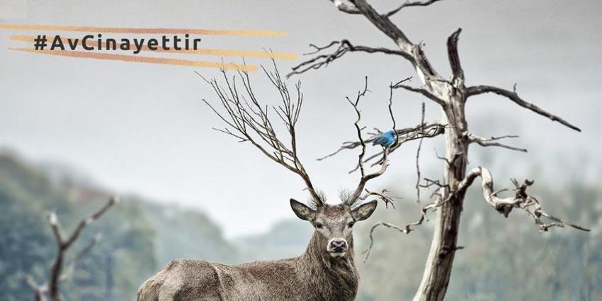 Avlanması kesinlikle yasak! Anadolu parsına zarar verenlere 1 milyon 200 bin lira ceza