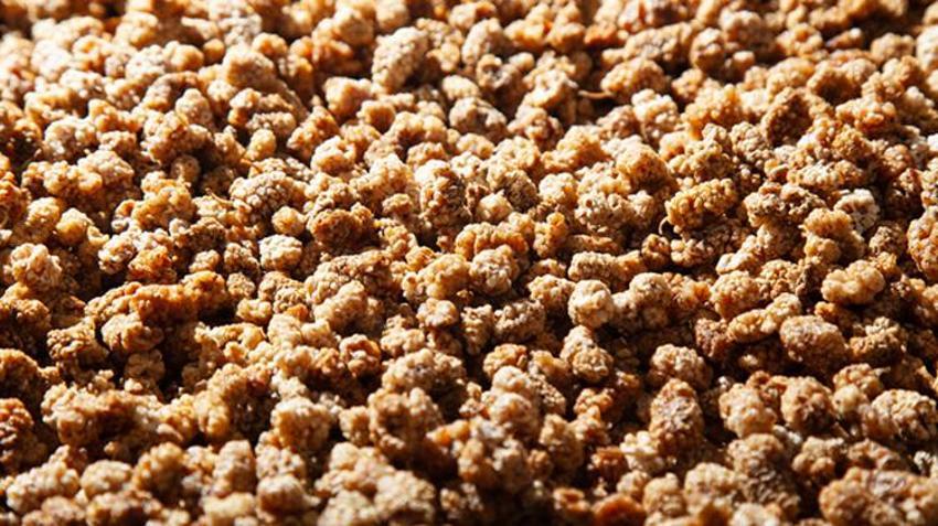 Kandaki iltihaplanmayı yok ediyor, kolesterolü düzenliyor, kan şekerini dengeliyor! Osmanlı’da ilaç olarak kullanılıyordu