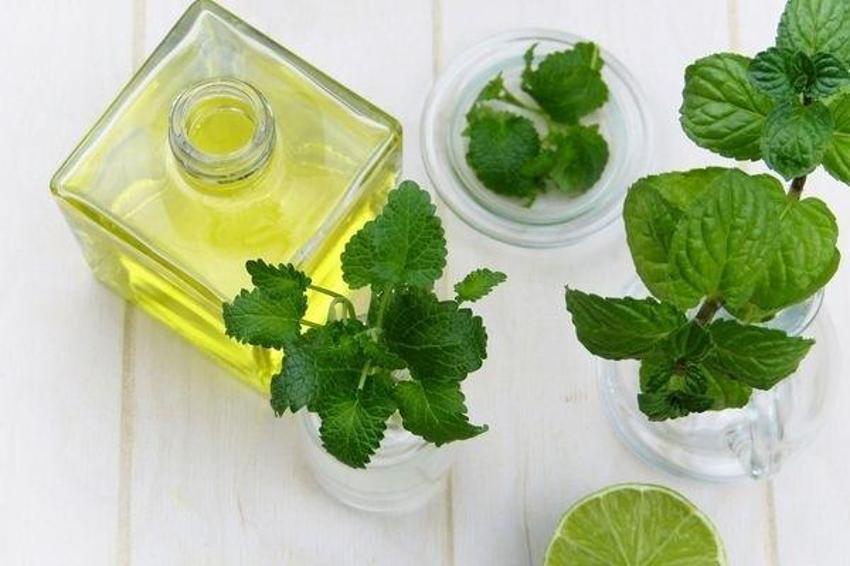 5 dakikada böcek ısırığını geçiriyor! Ağrıyı ve kaşıntıyI anında durduran 7 bitkisel yöntem var!