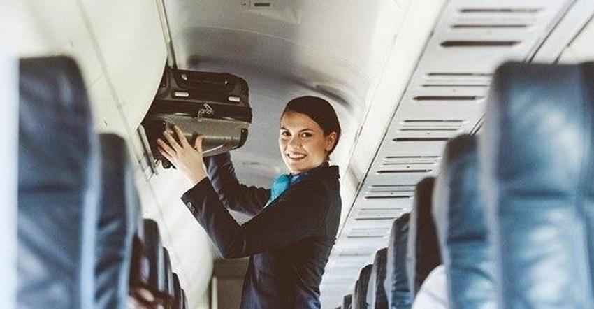 Hosteslik hangi bölüm? Hosteslik sayısal mı, eşit ağırlık mı? Hostes olmak için hangi bölüm okunur?