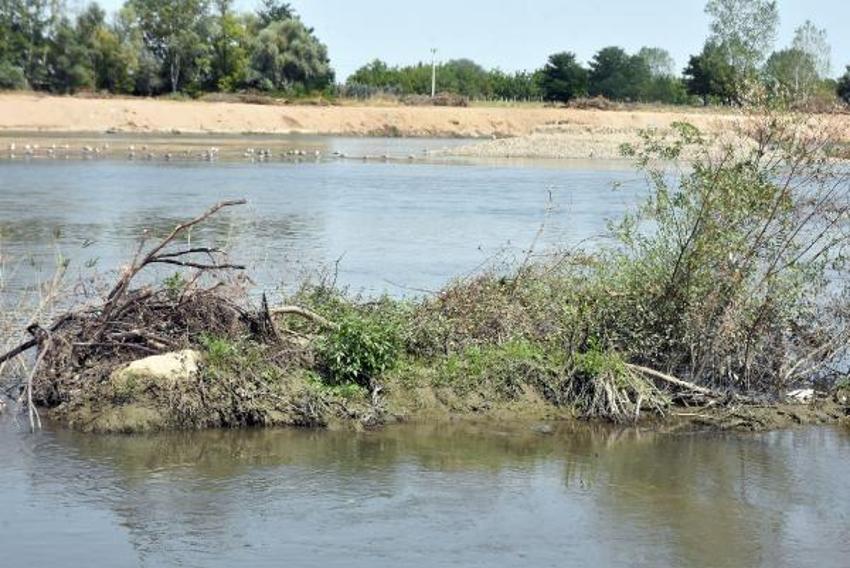 Sıcaklıklar 90 yılın ortalamasının üzerine çıktı! Meriç Nehri, son 5 yılın en düşük seviyesinde akıyor