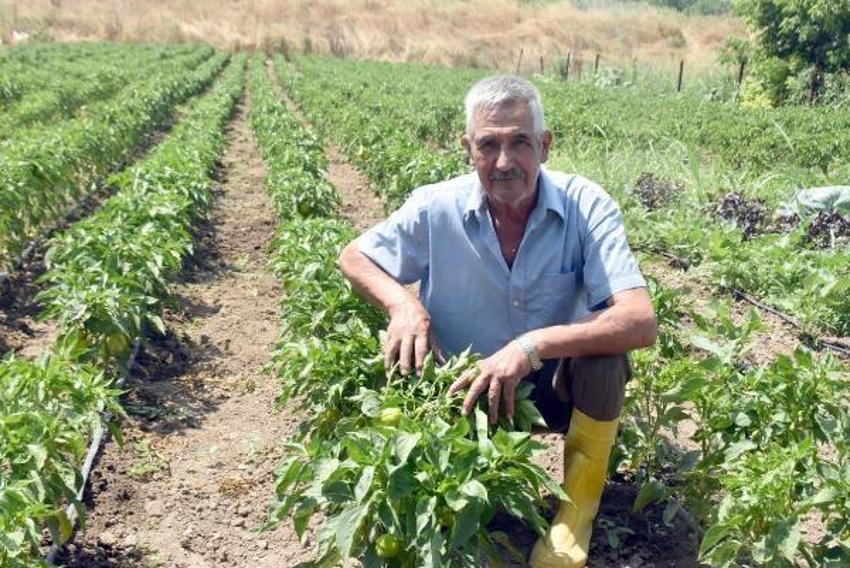 Sıcaklıklar 90 yılın ortalamasının üzerine çıktı! Meriç Nehri, son 5 yılın en düşük seviyesinde akıyor