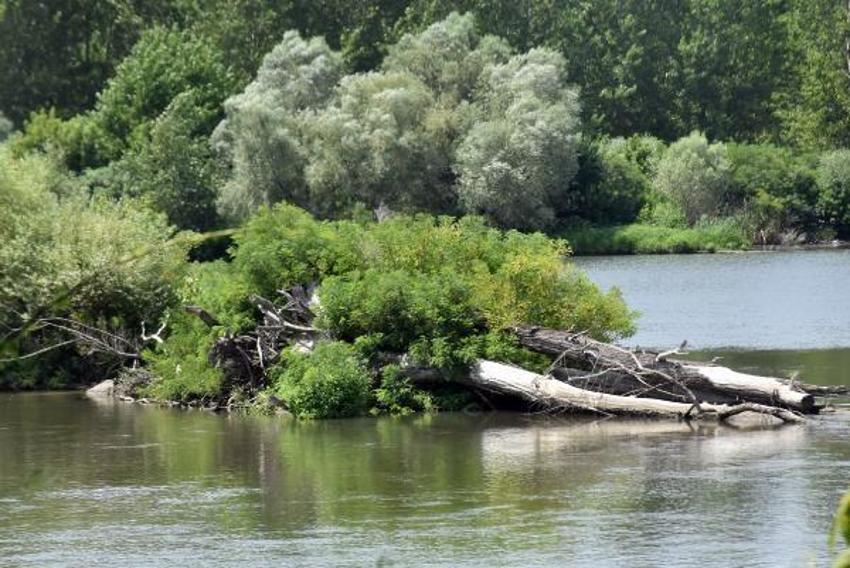 Sıcaklıklar 90 yılın ortalamasının üzerine çıktı! Meriç Nehri, son 5 yılın en düşük seviyesinde akıyor