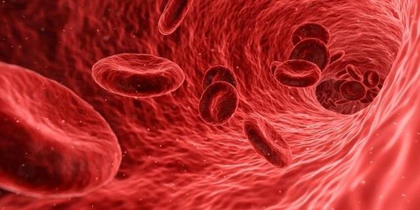 Tıkanmış damarları delip geçiyor! Unutulmuş tarif gün yüzüne çıktı