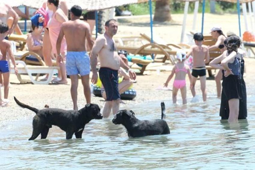 Kavurucu sıcak altında kar sürprizi! Kendini buz gibi suya bıraktı
