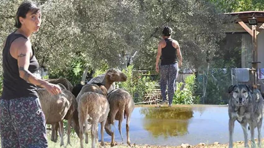 İstanbul'u terk edip köye yerleşti! Ünlü sanatçıyı görenler tanıyamıyor