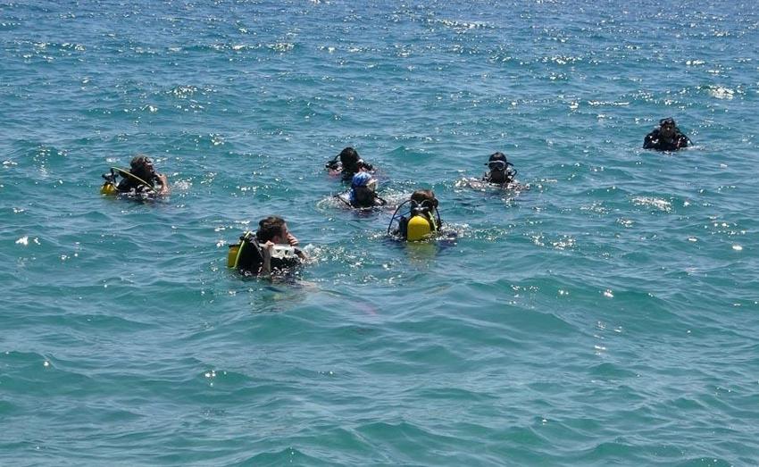 İstilacı balıklardan sonra Doğu Akdeniz'i göçmen çayırı sarmaya başladı