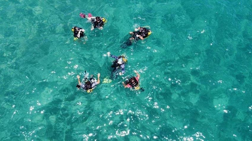 İstilacı balıklardan sonra Doğu Akdeniz'i göçmen çayırı sarmaya başladı