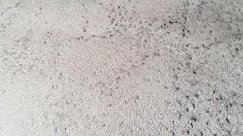İki ilçede içme suları kesilmek üzere! Kuraklık şiddetli vurdu, barajlar kurudu