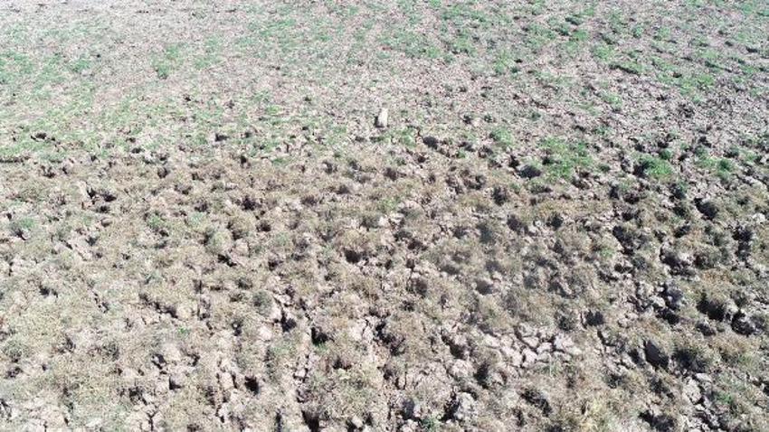 İki ilçede içme suları kesilmek üzere! Kuraklık şiddetli vurdu, barajlar kurudu
