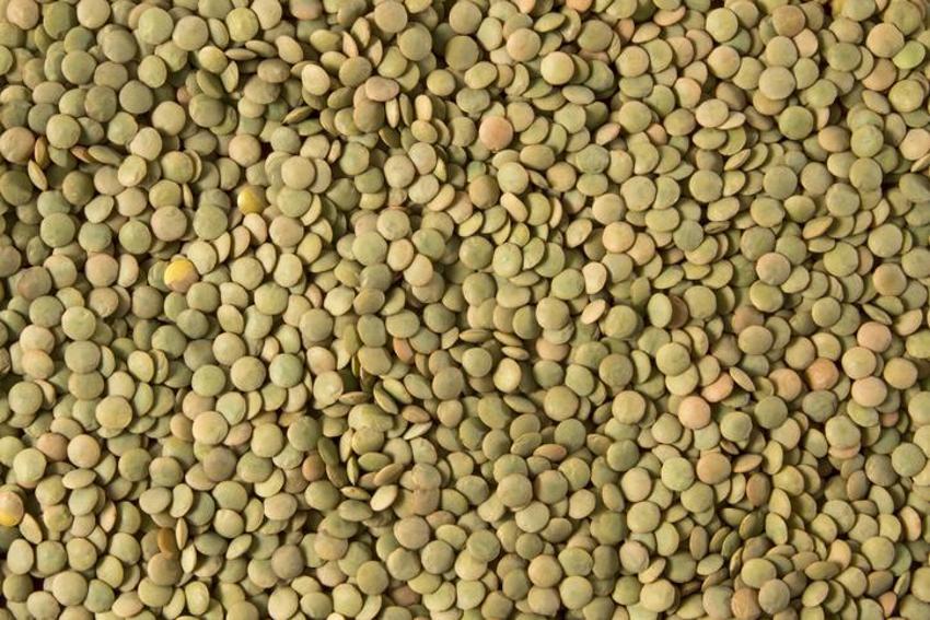 Saç dökülmesini bıçak gibi kesiyor, parlak bir görünüm veriyor! Hepsi A, C, E, B5, B6 ve B12 vitaminleri bakımından çok zengin...  