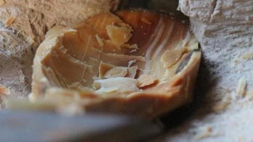 Sakarya'da üretiliyor, dünyanın birçok ülkesine satılıyor: Tanesi 100 lira