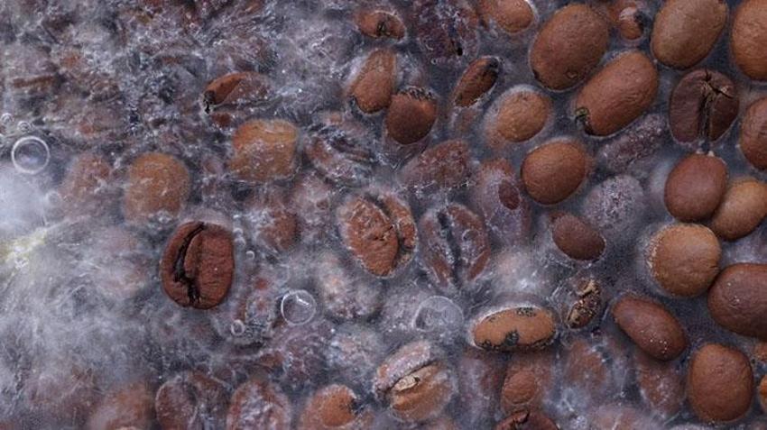Birçok hastalığa iyi geliyor: Bir bardağı şifa deposu