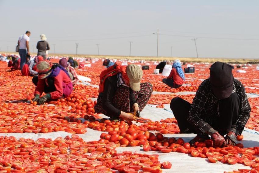 Markette 30 liraya satılıyor! Sofraların vazgeçilmezi, fiyatı 2 katına çıkıyor