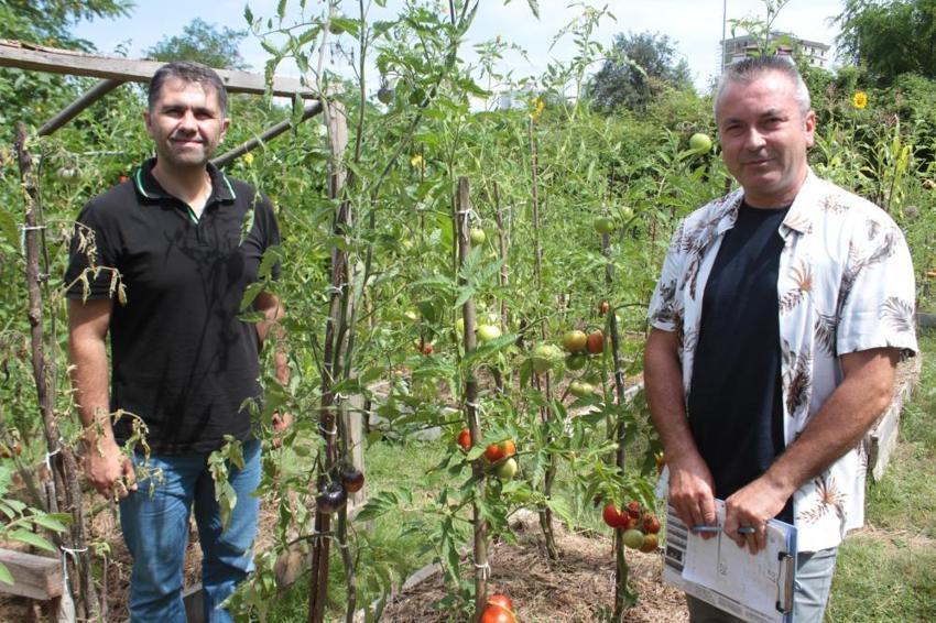 Markette 30 liraya satılıyor! Sofraların vazgeçilmezi, fiyatı 2 katına çıkıyor