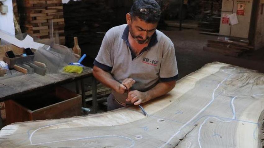  Asırlık ceviz ağaçlarından üretiliyor! Üç kıtadan ülkeler sıraya girdi