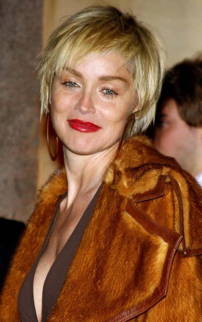 Sharon Stone'dan olay itiraf: Kırmızı ışıkta arabama tırmandılar