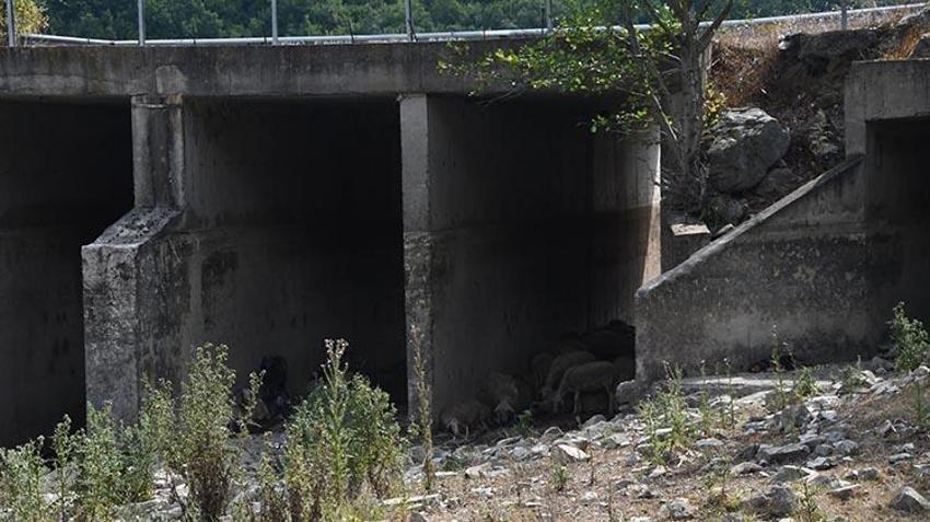 Alarm zilleri çalıyor! İstanbul'daki barajların doluluk oranı açıklandı