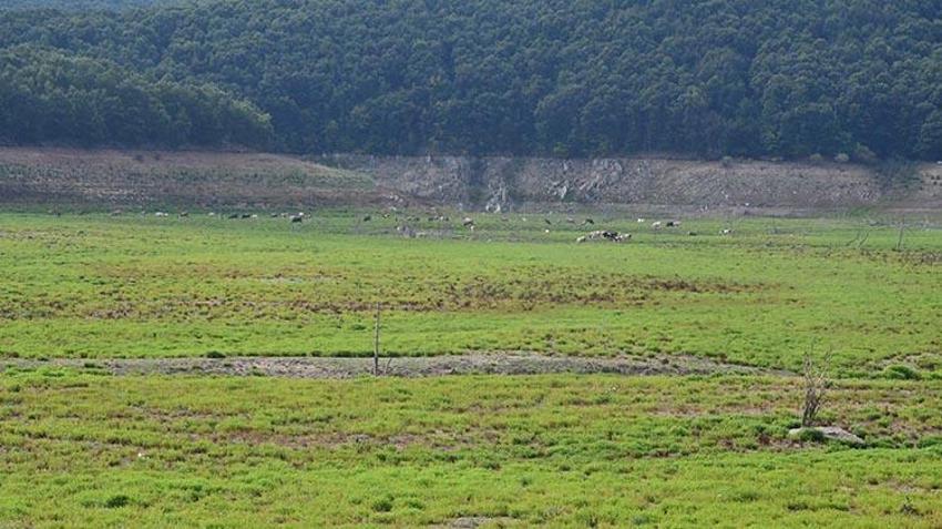 Alarm zilleri çalıyor! İstanbul'daki barajların doluluk oranı açıklandı