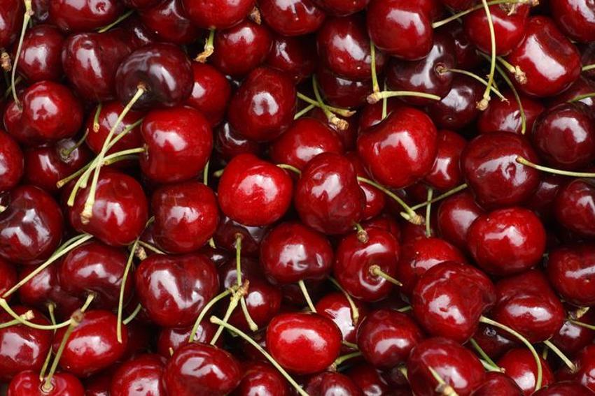 Obezite, parkinson, diyabet, ve kansere neden oluyor! Canan Karatay uyardı