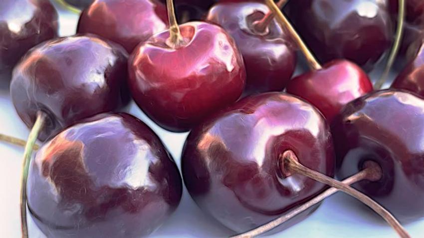 Obezite, parkinson, diyabet, ve kansere neden oluyor! Canan Karatay uyardı