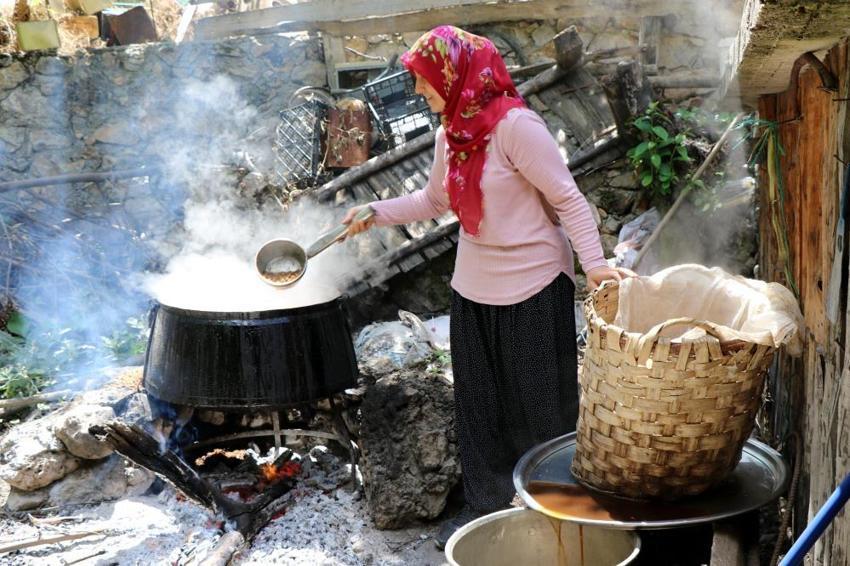 Antibiyotik kadar etkili, limonla karıştırınca faydaları ikiye katlanıyor! İşte asırlık şifa kaynağı 
