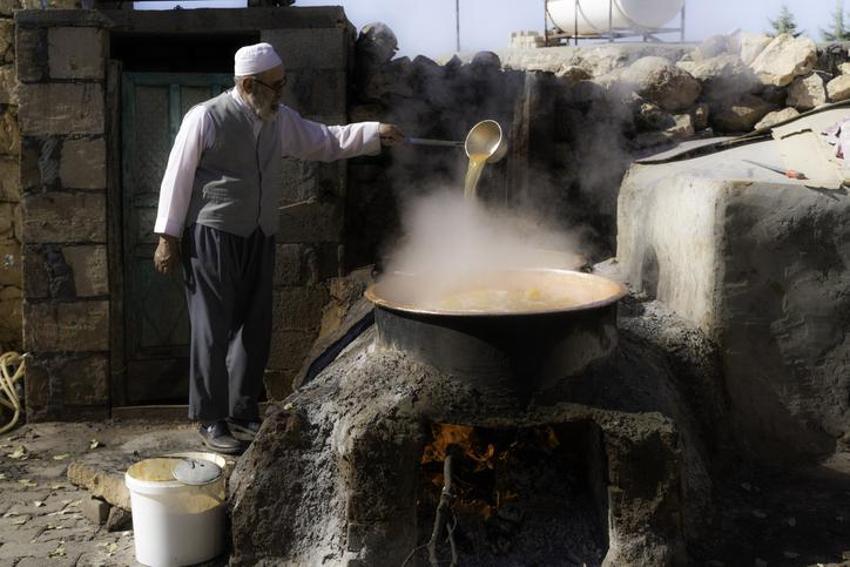 Antibiyotik kadar etkili, limonla karıştırınca faydaları ikiye katlanıyor! İşte asırlık şifa kaynağı 