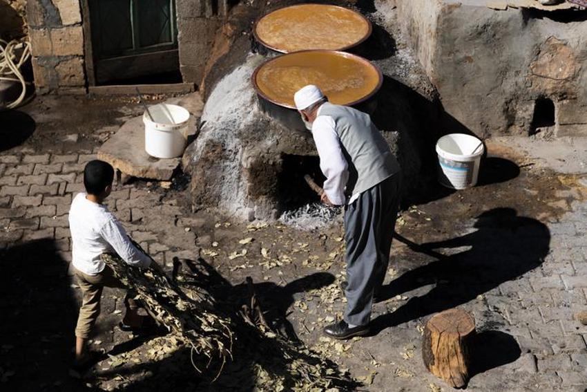 Antibiyotik kadar etkili, limonla karıştırınca faydaları ikiye katlanıyor! İşte asırlık şifa kaynağı 