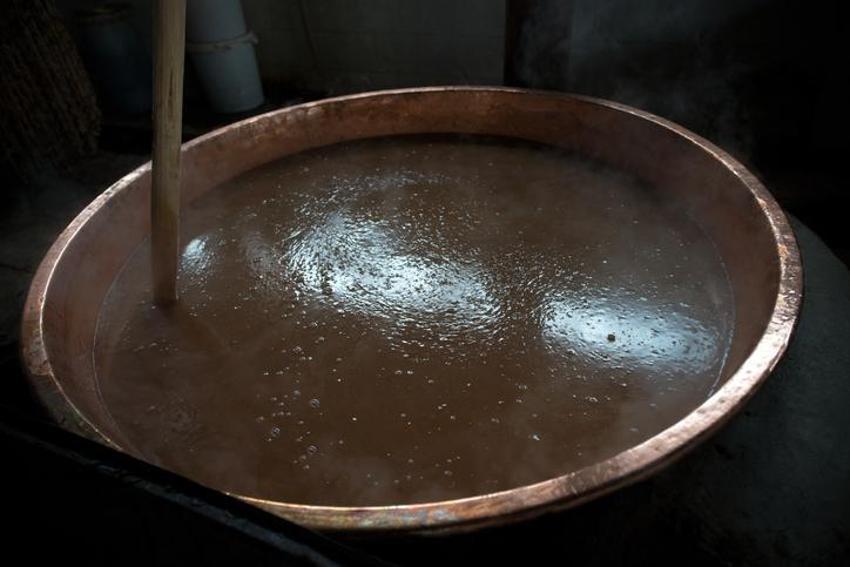 Antibiyotik kadar etkili, limonla karıştırınca faydaları ikiye katlanıyor! İşte asırlık şifa kaynağı 