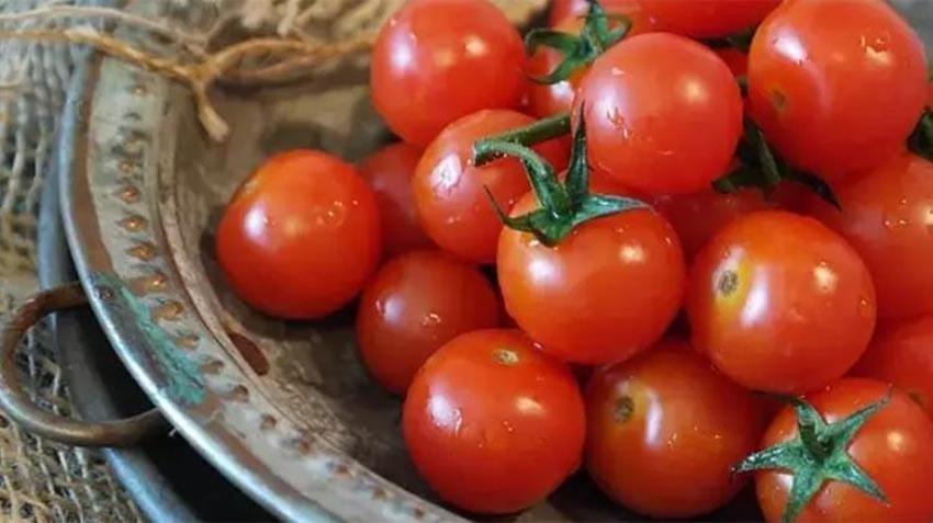 Çürüyen domateslerinizi sakın çöpe atmayın! Bakın bozulmuş domatesler ne işe yarıyor