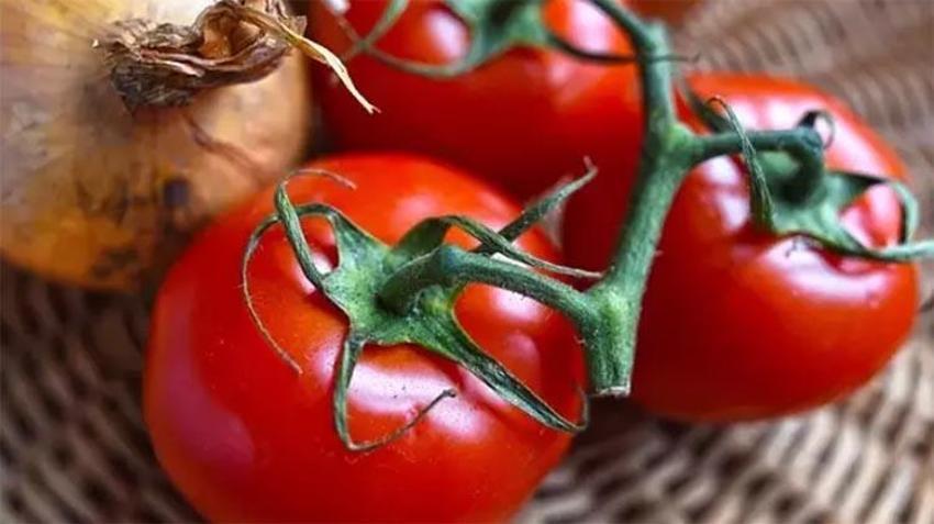 Çürüyen domateslerinizi sakın çöpe atmayın! Bakın bozulmuş domatesler ne işe yarıyor