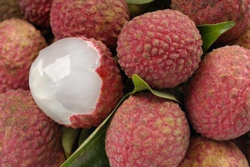 C vitamininde portakala fark atıyor! En az 10 yıl geç yaşlanmak garanti! Bir tanesi bile şifa oluyor!