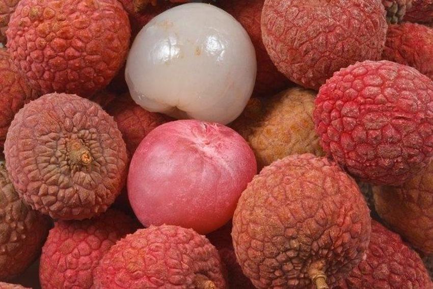 C vitamininde portakala fark atıyor! En az 10 yıl geç yaşlanmak garanti! Bir tanesi bile şifa oluyor!