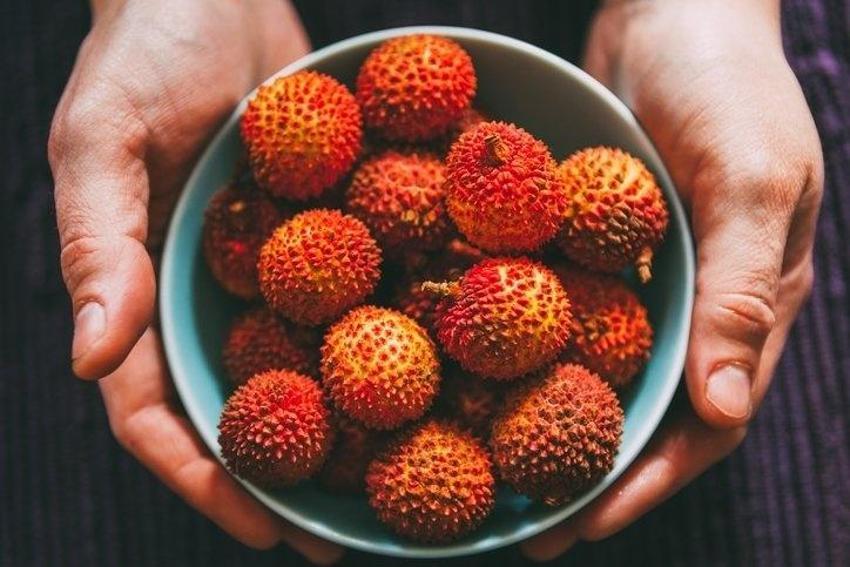 C vitamininde portakala fark atıyor! En az 10 yıl geç yaşlanmak garanti! Bir tanesi bile şifa oluyor!