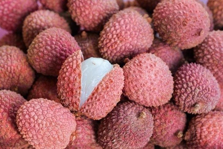 C vitamininde portakala fark atıyor! En az 10 yıl geç yaşlanmak garanti! Bir tanesi bile şifa oluyor!