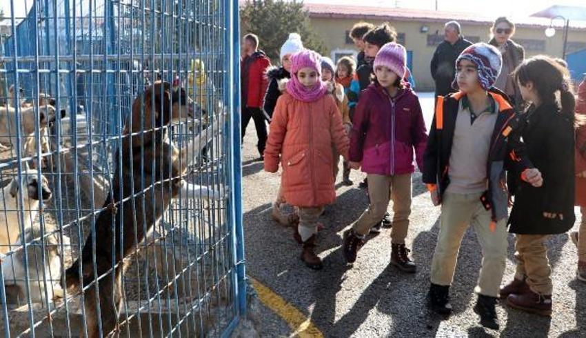 Kuduz ile ilgili endişelendiren uyarı! Vakaların artış nedenini açıkladı