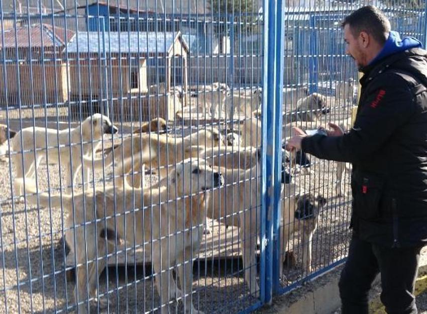 Kuduz ile ilgili endişelendiren uyarı! Vakaların artış nedenini açıkladı