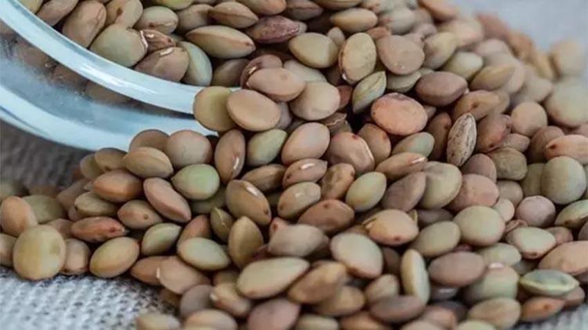 Kolesterolü düşürür, damar tıkanıklığını önler: İşte sofralarımızın vazgeçilmezi 'Kara Şimşek'in faydaları