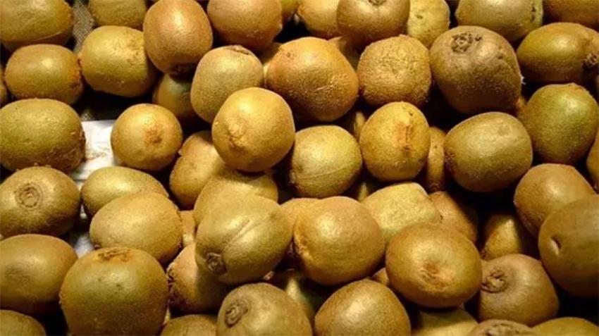 Canan Karatay açıkladı: Bu meyve metabolizmayı hızlandırıp kilo vermeye yardımcı oluyor