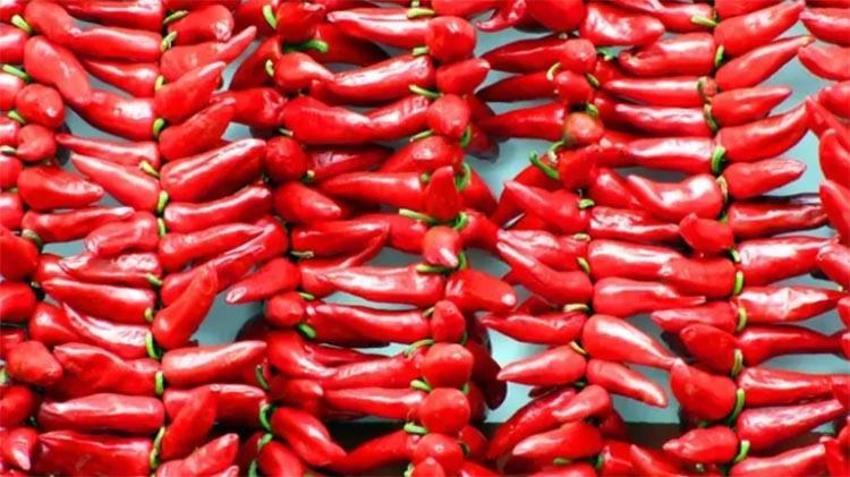 ABD'li bilim insanları ortaya çıkardı: Ani ölüm riskini ortadan kaldırıyor