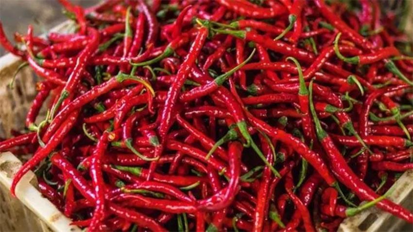 ABD'li bilim insanları ortaya çıkardı: Ani ölüm riskini ortadan kaldırıyor