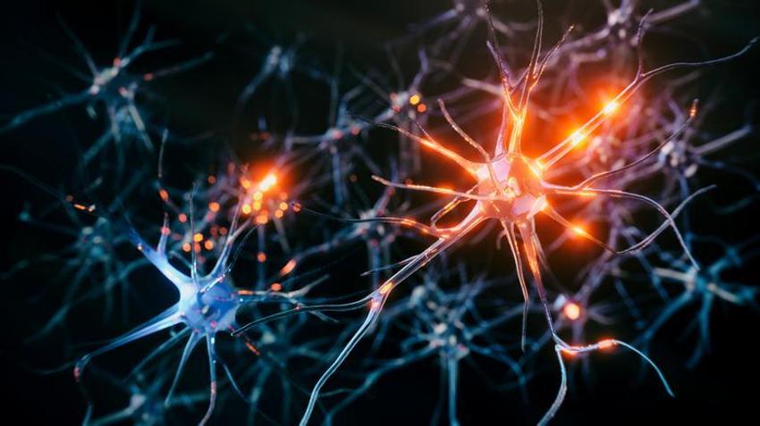 Parkinson ve Alzheimer hastalarını umutlandıran gelişme!