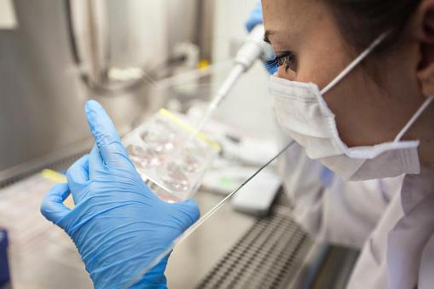 Koronavirüs salgını geri mi dönüyor? Eris varyantı sonrası peş peşe maske kararları geldi 